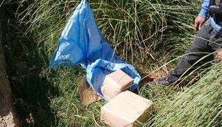 Secuestran aceite de cannabis y cannabidiol que ingresaba de contrabando al país