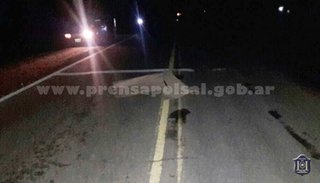 Pichanal: un conductor mató a una mujer y se dio a la fuga
