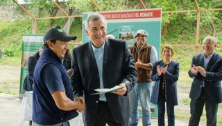 Toros de raza para mejorar los rodeos