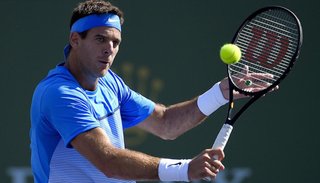 Del Potro no jugará el Grand Slam de Australia