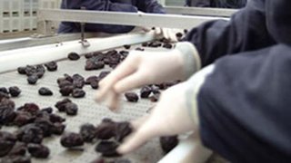 Ciruelas disecadas argentinas con rumbo a Emiratos Árabes