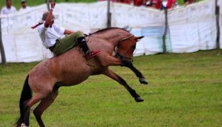 Festival del Caballo Criollo, el Coleto y Guardamonte