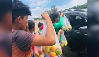"Mangos, mangos", la fruta que venden los más pobres