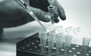 El Gobierno propone tomar muestras de ADN a todos los delincuentes peligrosos