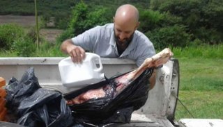 Fueron detenidos por realizar una faena clandestina
