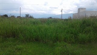 El Mollar II: reclamos y ninguna solución