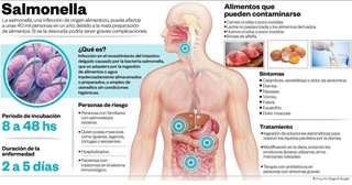 Salmonella enciende las alertas
