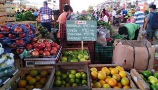 Feria De Alimentos A Precios Accesibles En La Ciudad