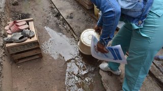 Ascienden a seis los casos de dengue en Jujuy