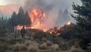 Miles de hectáreas de un bosque nativo se incendian en El Bolsón