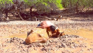 “Ñaño” Rodó perdió 200 vacas y 300 terneros por la sequía