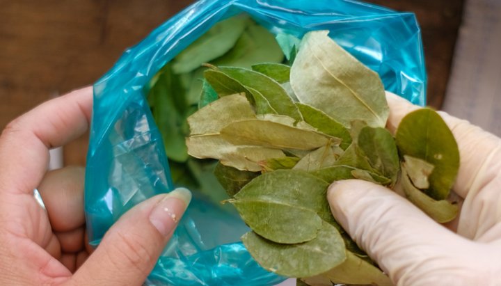 Una mujer fallecio por un acullico de coca