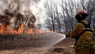 Corrientes y Río Negro registran focos activos de incendios forestales
