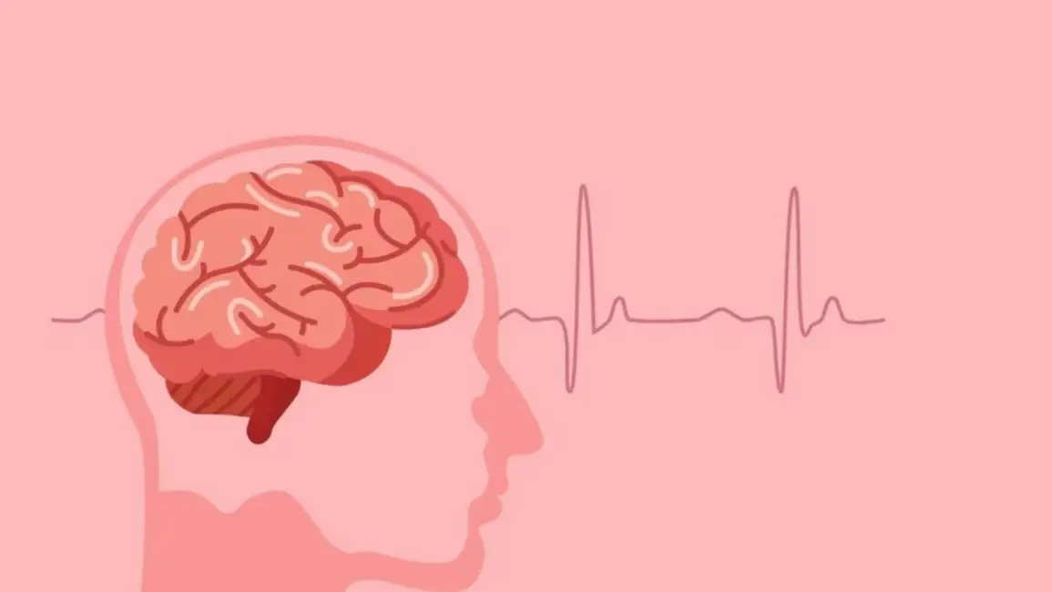 El grupo de vitaminas que ayudan a oxigenar el cerebro