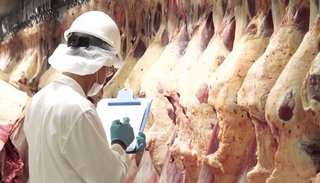 Por "histórico acuerdo" Argentina exportará carne a China