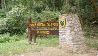 Combatiente de Incendios