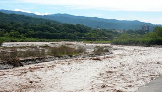 Hasta 40 milímetros de lluvia se registraron en las Yungas