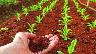 Resultado de imagen para que es suelo