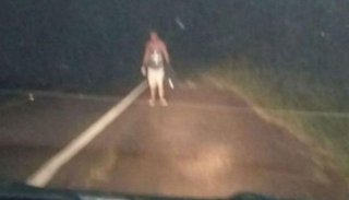 Volvieron de Brasil y se olvidaron a un amigo en la ruta