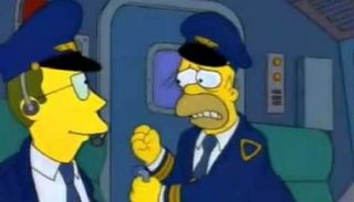 Homero Simpson sorprendió a pasajeros de un vuelo a Ushuaia. VIDEO
