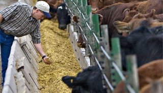 UCASAL ofrece la Licenciatura en Producción Animal