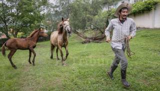 Adoptaron caballos y un toro en Tres Cerritos