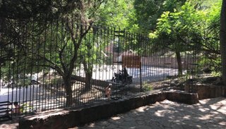 Colocan rejas y un portón en el acceso al cerro San Bernardo para preservar la reserva