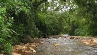 El Parque Nacional Calilegua es el de mayor biodiversidad del país