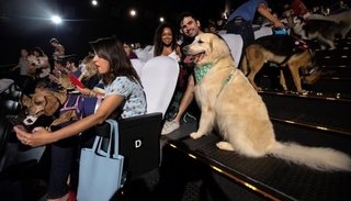 Mascotas junto a sus dueños asistieron al cine para el estreno de “Mis huellas a casa”