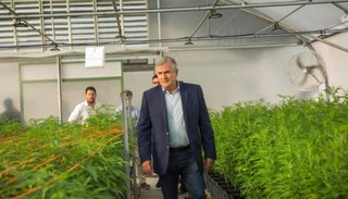 Morales consideró que este año fabricarán aceite de cannabis medicinal en Jujuy