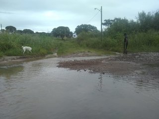 Familias autoevacuadas y afectadas por el temporal en Jujuy