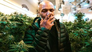 Mike Tyson suma ingresos millonarios gracias a la marihuana