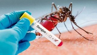 Confirman un caso de dengue en Salvador Mazza y es el segundo positivo de la temporada en Salta