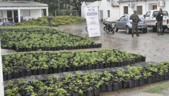 Dos nuevos detenidos en la causa del megacultivo