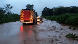 La tormenta volteó postes, cortó rutas y servicios