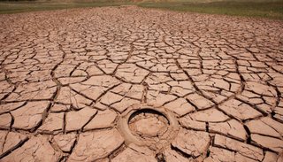 "Los anuncios por la sequía son un alivio para el campo"