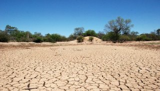 Sequía: facilitan el crédito a los productores afectados