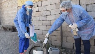 Confirman siete casos de dengue en Jujuy en la última semana