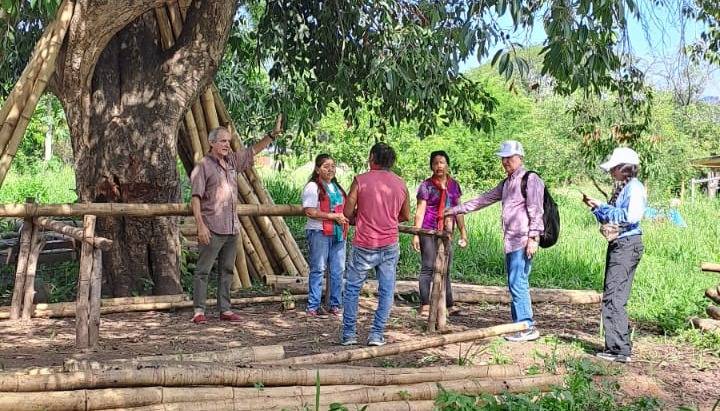 Centro de cultivo de la caña de bambú en Calilegua