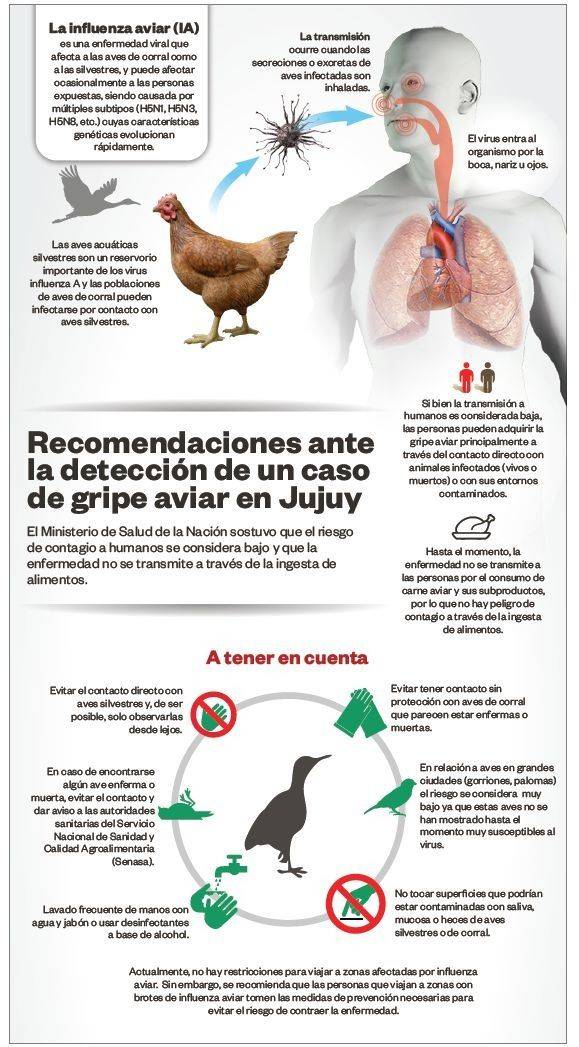 Gripe aviar: llevan tranquilidad a la gente y piden extremar medidas