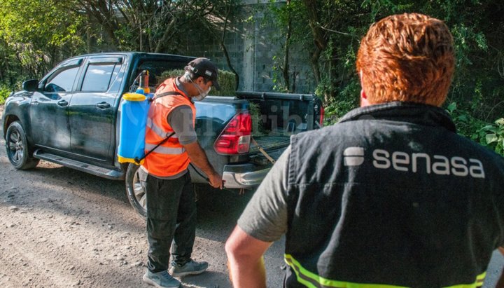 En Salta hubo 14 notificaciones por gripe aviar y una fue confirmada