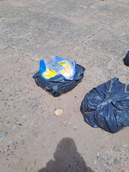 Secuestraron más de media tonelada de cocaína en Jujuy con el símbolo de un “delfín”