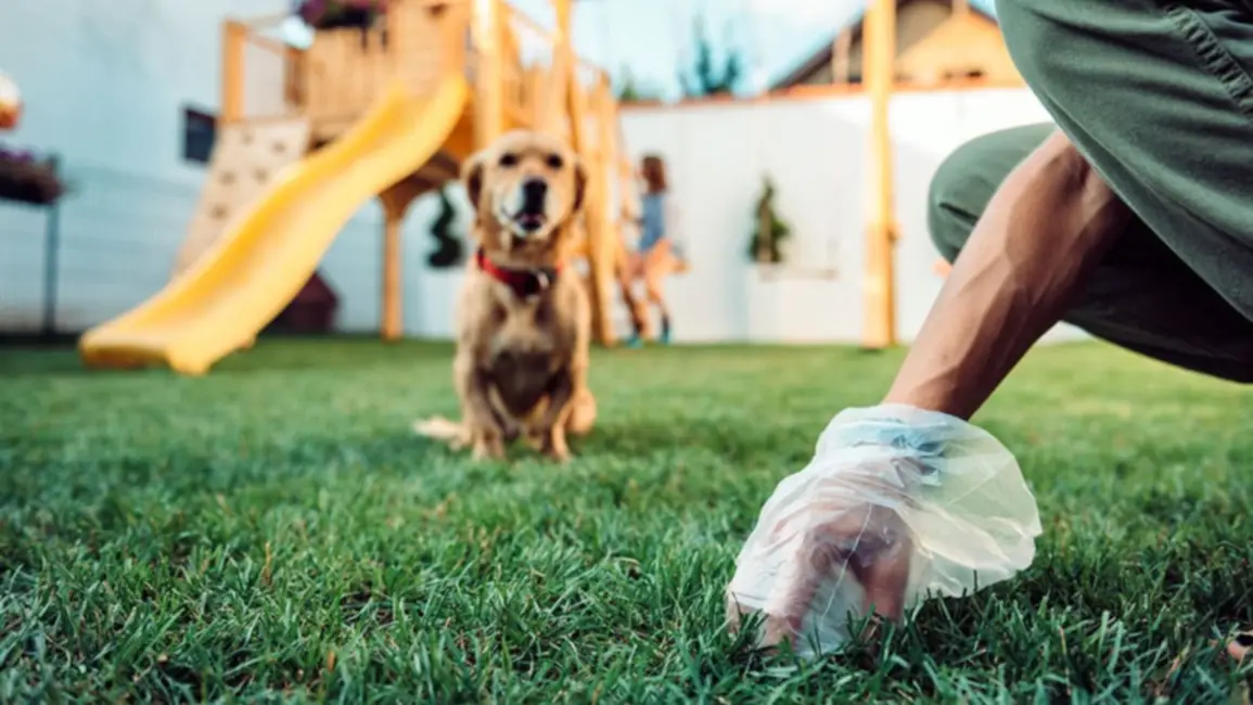 En Corrientes, los dueños de perros que no levanten las heces de su mascota pagarán multas de 0.000