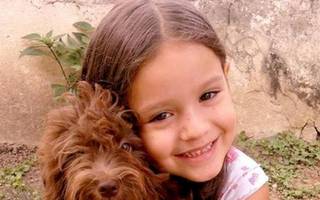 Gustavo García Igarza: "El mayor riesgo de una mordedura de animal es el de contraer rabia"