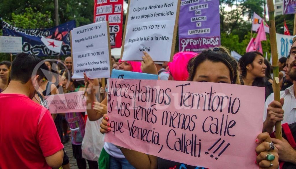 Cientos de mujeres salieron a las calles. Fotos: Federico Medaa y Pablo Yapura Cientos de mujeres salieron a las calles. Fotos: Federico Medaa y Pablo Yapura