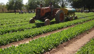 La producción sigue en picada: cayeron 16% las exportaciones