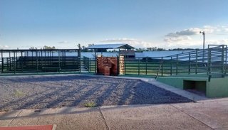 Ultiman detalles para inaugurar las modernas instalaciones del matadero de La Merced