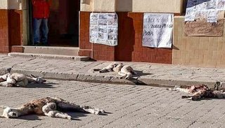 En Abra Pampa impulsarán la anulación de las leyes que protegen a animales en peligro de extinción