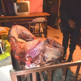 Robaron dos medias reses "para hacer un asado y festejar el triunfo de River"
