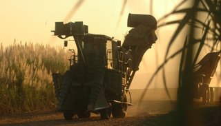Alternativas para una industria cañera sostenible
